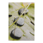 Canvas Stones HM7154.10 60X90X2.5 cm.